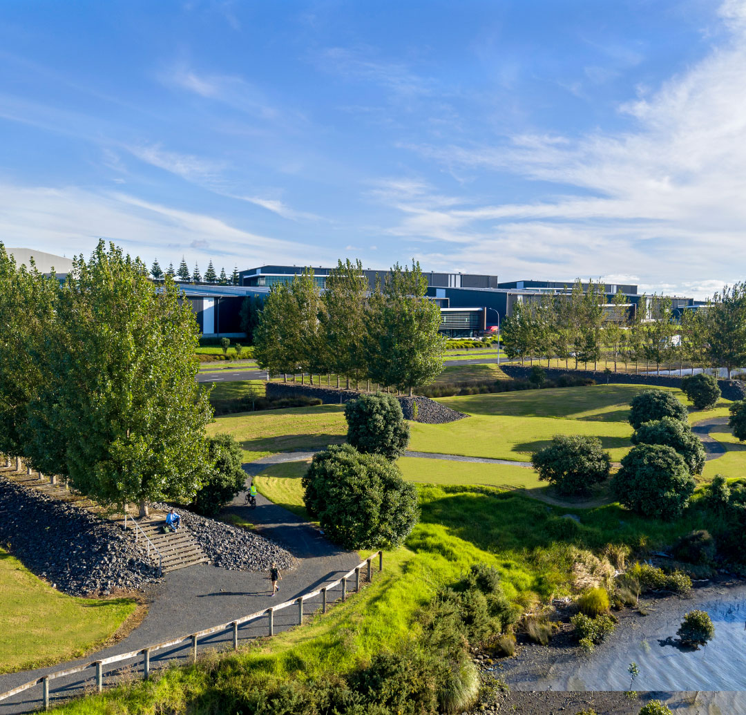 No small feat – building a ngahere to support biodiversity in New Zealand 